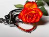 rosa-esposas